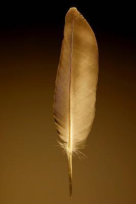 Read The Feather Journal: 150 Page Lined Notebook/Diary - NOT A BOOK | PDF