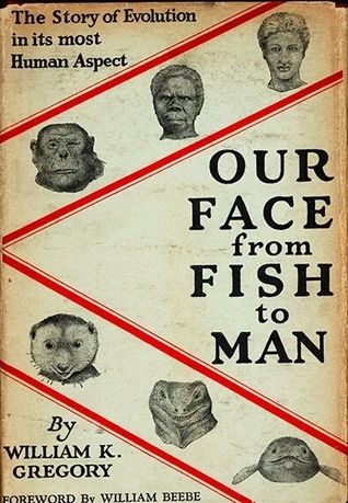 Read Our Face From Fish to Man: The Story of Evolution in Its Most Human Aspect - William K. Gregory | PDF