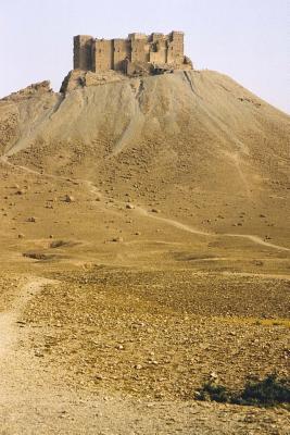 Read Palmyra Desert Ruins Arab Fort in Syria Journal: 150 Page Lined Notebook/Diary - NOT A BOOK file in PDF