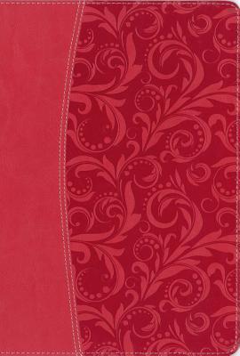 Read NIV, Quest Study Bible, Leathersoft, Coral, Indexed: The Question and Answer Bible - Christianity Today file in PDF