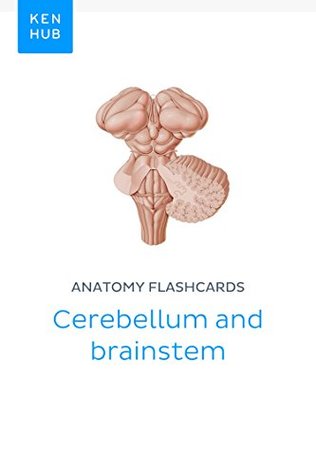 Download Anatomy flashcards: Cerebellum and brainstem: Learn all organs, nerves and terminology on the go (Kenhub Flashcards Book 33) - Kenhub file in PDF