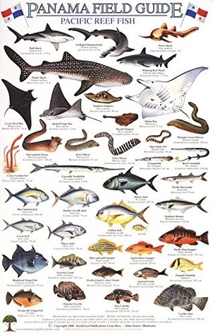 Download Panama Pacific Reef Fish Identification Guide (Laminated Single Sheet Field Guide) (English and Spanish Edition) - Rainforest Publications file in PDF