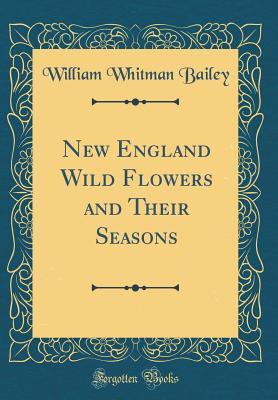 Download New England Wild Flowers and Their Seasons (Classic Reprint) - William Whitman Bailey file in PDF