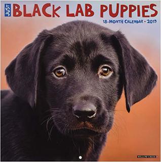 Read Just Black Lab Puppies 2019 Wall Calendar (Dog Breed Calendar) -  | PDF