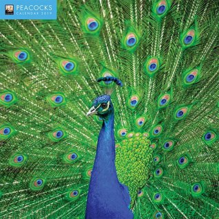 Read Peacocks 2019 12 x 12 Inch Monthly Square Wall Calendar by Flame Tree, Bird Birdwatching Ornithology -  | ePub