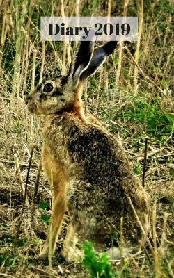 Download Diary 2019: The Brown Hare, 5 X 8 372 Paged Diary/Planner, Day/Times/Notes on Every Page -  file in ePub