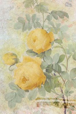 Download Rosa Sulfurea: Floral Notebook with Flower Illustrations on Every Page - Coming Up Roses | PDF