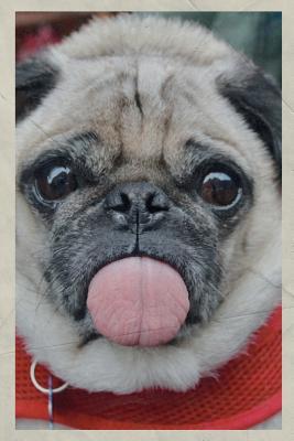 Read 2020: Cheeky Pug Compact Planner Calendar Organizer Daily Weekly Monthly Vintage Retro Poster Style Dog Walking Business -  file in PDF