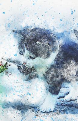 Download 2019-2020 Academic Planner Weekly and Monthly Playful Cat - Zone365 Creative Journals file in PDF