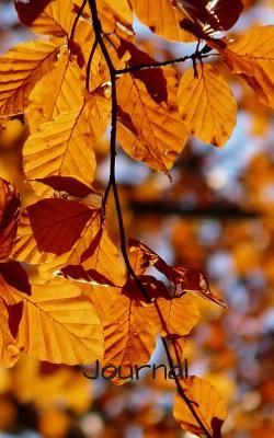 Read Journal: 5x 8 126 page lined soft covered journal, notebook, diary with fall leaves on the tree on a matte cover - Marvs Publishing | PDF