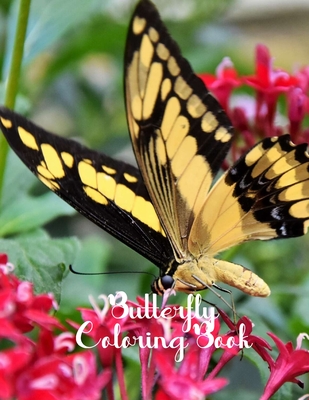 Download Butterfly Coloring Book: Butterfly Lover Gifts for Toddlers, Kids Ages 2-4, 4-8, Girls Ages 8-12 or Adult Relaxation Cute Stress Relief Animal Birthday Coloring Book Made in USA - Shayne Coloring Book file in PDF