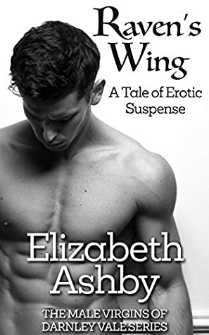 Read Raven's Wing: A Tale of Erotic Suspense (The Male Virgins of Darnley Vale Series Book 1) - Elizabeth Ashby file in PDF